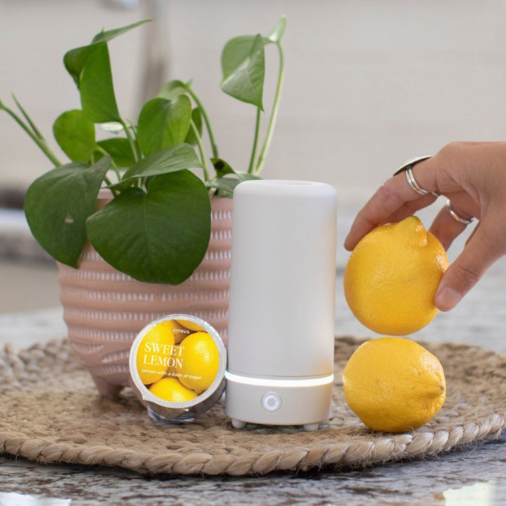 Sweet Lemon Fragrance Pod - Zesty Lemon &amp; Sugar