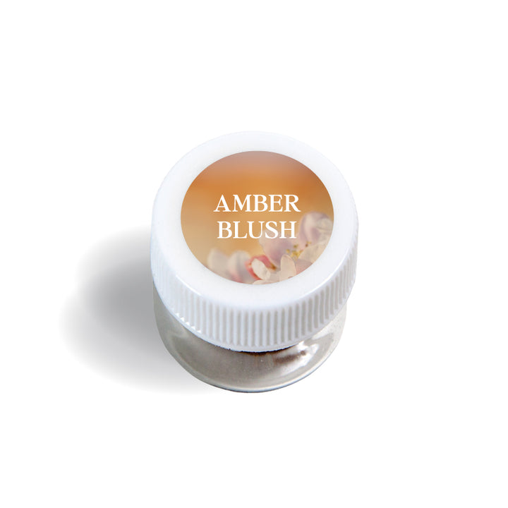 Amber Blush Fragrance Preview (VIAL)