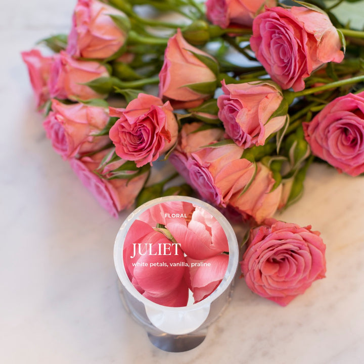 Juliet Fragrance Pod - White Petals, Vanilla, Praline