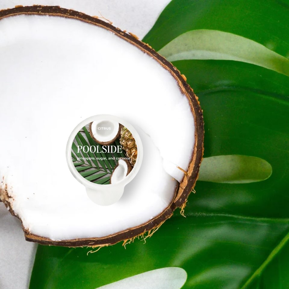Poolside Fragrance Pod - Pineapple, Sugar &amp; Coconut
