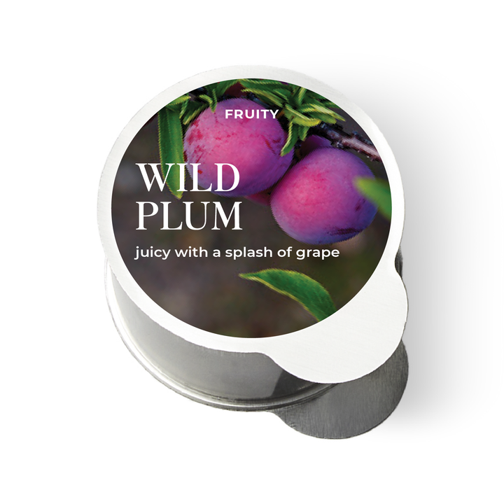Wild Plum Fragrance Pod - Vibrant Mix of Plum, Grape &amp; Apple